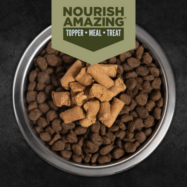 ORIJEN Tundra Epic Bites Freeze-Dried Dry Dog Food