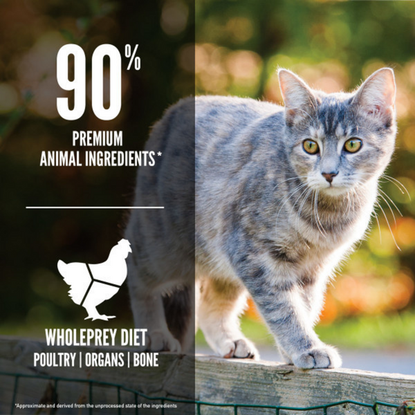 ORIJEN Dry Original Premium, High Protein, Fresh & Raw Animal Ingredients Dry Cat Food