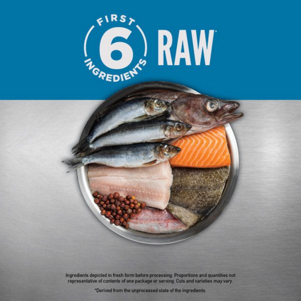 ORIJEN Grain Free, Premium, High Protein, Fresh & Raw Animal Ingredients, Six Fish Dry Cat Food