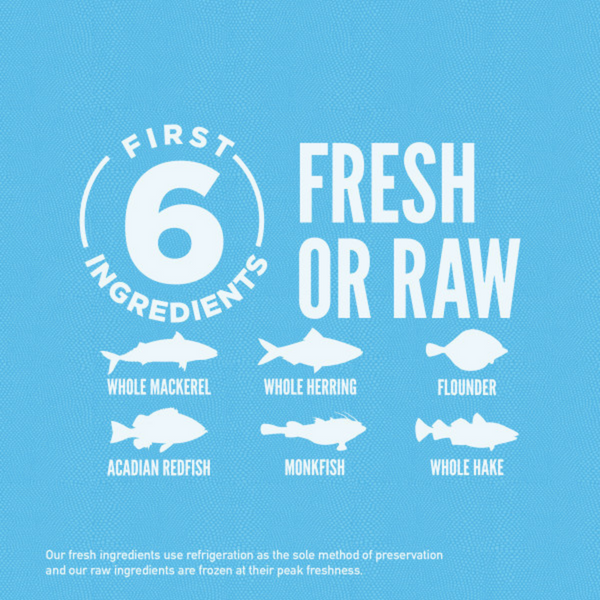 ORIJEN Grain Free, Premium, High Protein, Fresh & Raw Animal Ingredients, Six Fish Dry Cat Food