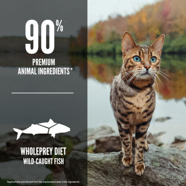 ORIJEN Grain Free, Premium, High Protein, Fresh & Raw Animal Ingredients, Six Fish Dry Cat Food