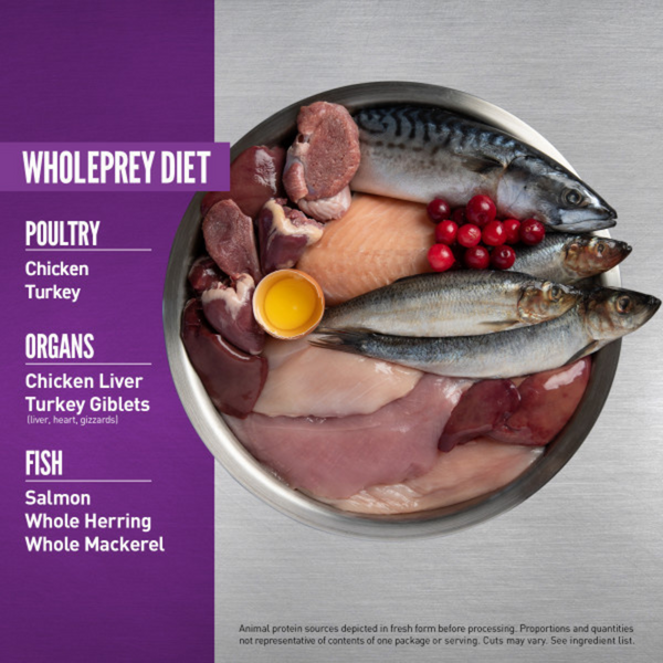 ORIJEN Grain Free, Premium, High Protein, Fresh & Raw Animal Ingredients Dry Kitten Food