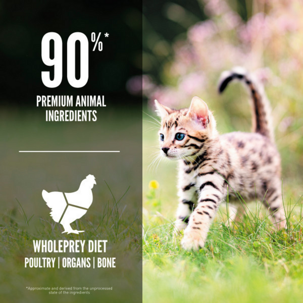 ORIJEN Grain Free, Premium, High Protein, Fresh & Raw Animal Ingredients Dry Kitten Food