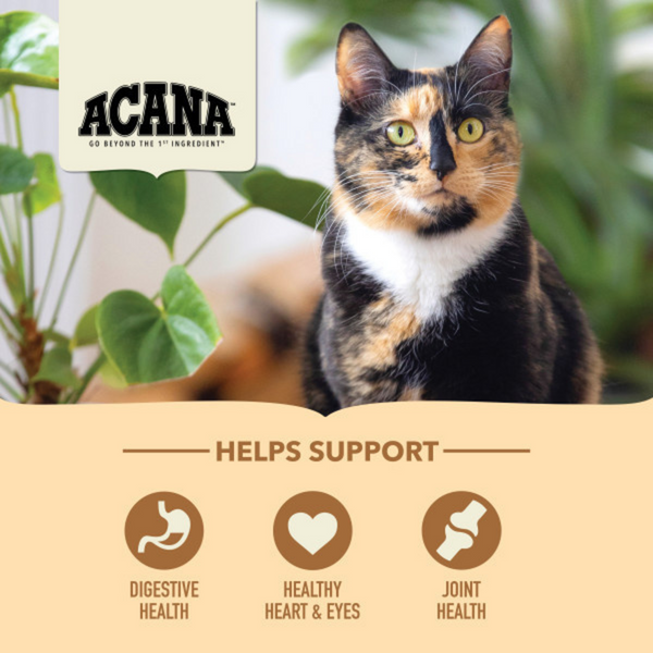 Acana Senior Entre, Chicken, Turkey, and Duck, Dry Cat Food