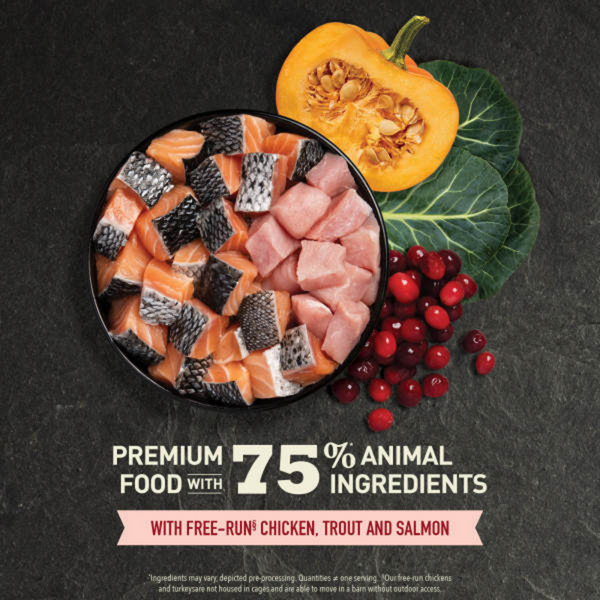 ACANA Highest Protein  Indoor Cat Recipe Dry Cat Food