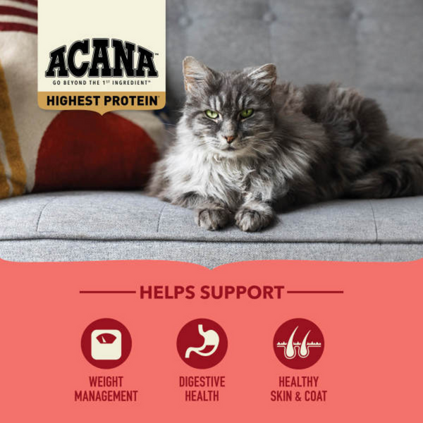 ACANA Highest Protein  Indoor Cat Recipe Dry Cat Food