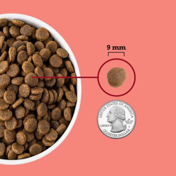ACANA Highest Protein  Indoor Cat Recipe Dry Cat Food