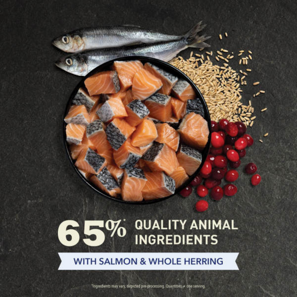 ACANA Indoor Entre Fish Recipe, Dry Cat Food