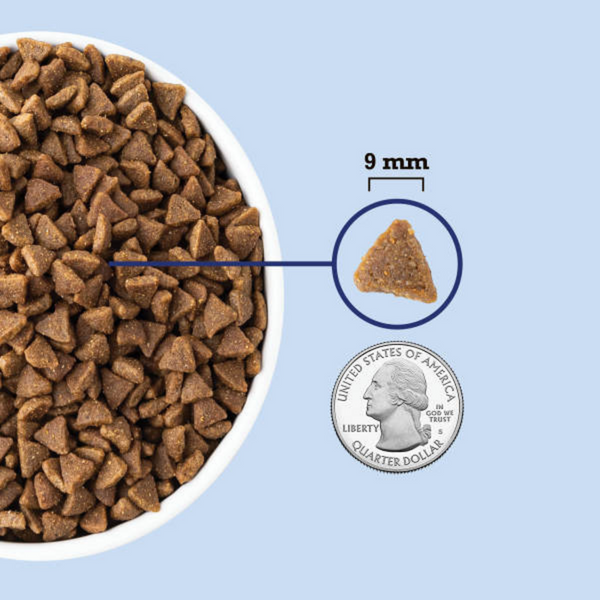 ACANA Indoor Entre Fish Recipe, Dry Cat Food