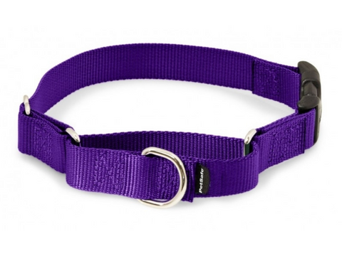 PetSafe Premier Martingale Deep Purple Quick Snap Pet Collar