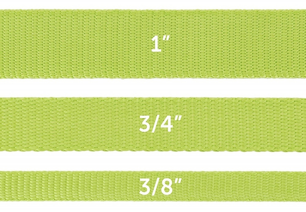 PetSafe Premier Apple Green Nylon Dog Leash
