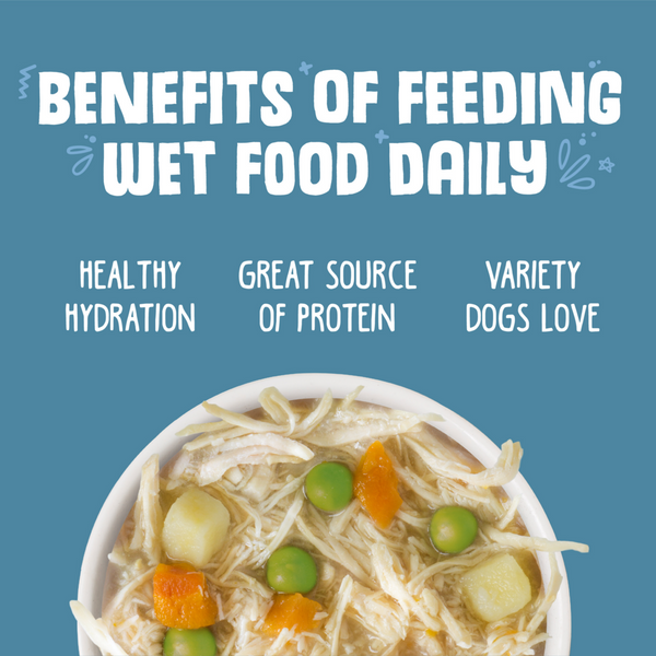 Weruva Grandma's Chicken Soup with Chicken & Veggies Canned Dog Food