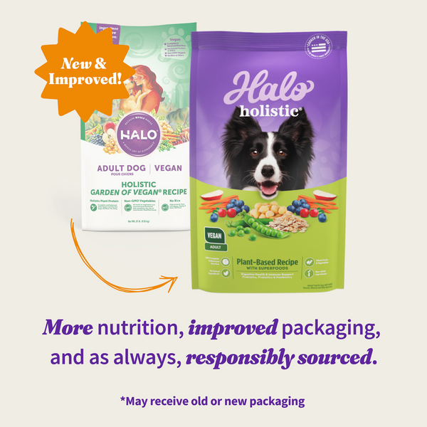 Halo Holistic Adult Dog Vegan Plant-Based Recipe with Superfoods Dry Dog Food