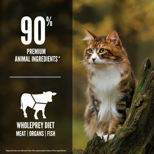 Orijen Grain Free Regional Red Dry Cat Food