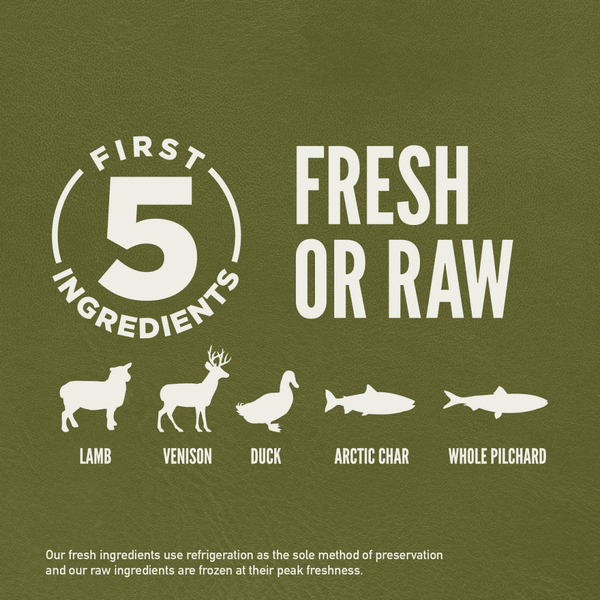 Orijen Tundra Dry Dog Food
