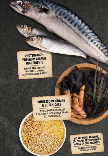 Acana Wholesome Grains Sea to Stream Fish & Grains Dry Dog Food Herring, Mackerel & Catfish