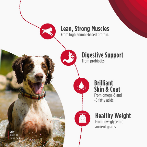 Nulo Frontrunner Adult Dog Pork, Barley & Beef