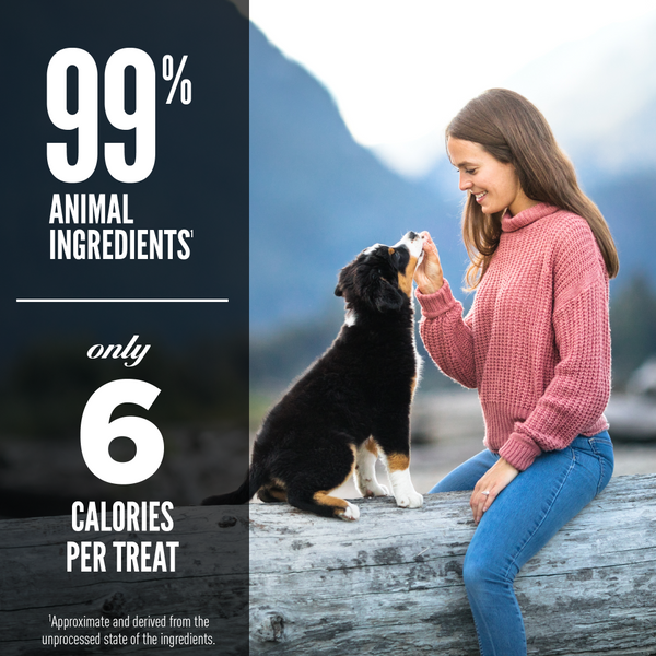 Orijen Freeze Dried Regional Red Dog Treats