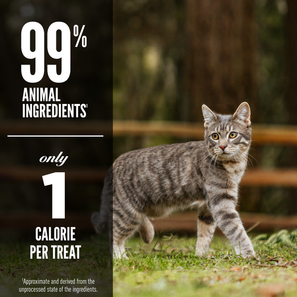 Orijen Freeze Dried Regional Red Cat Treats