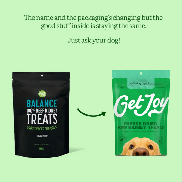 Get Joy Balance 100% Beef Kidney Freeze Dried Dog Treats