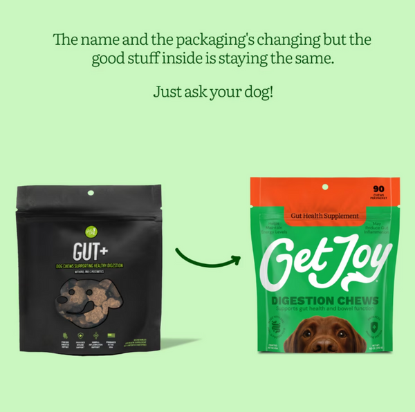 Get Joy Gut + Supplement Soft Chew Dog