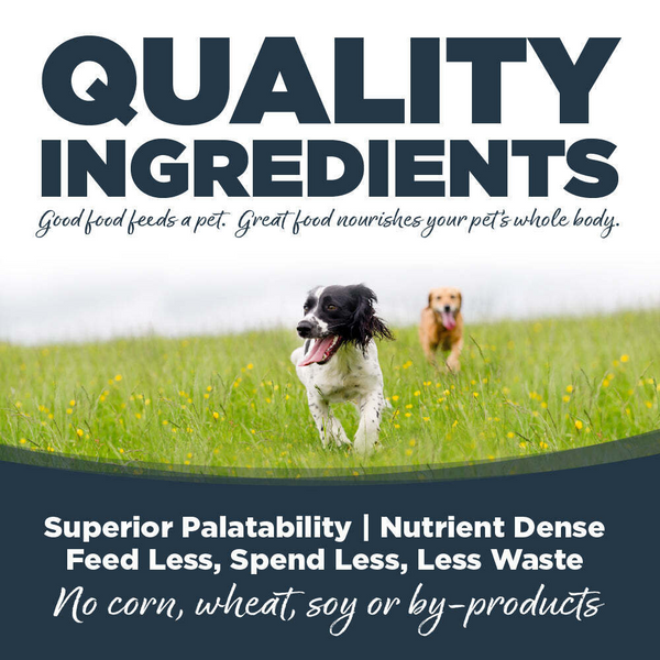 NutriSource Northern Feast Dog Food