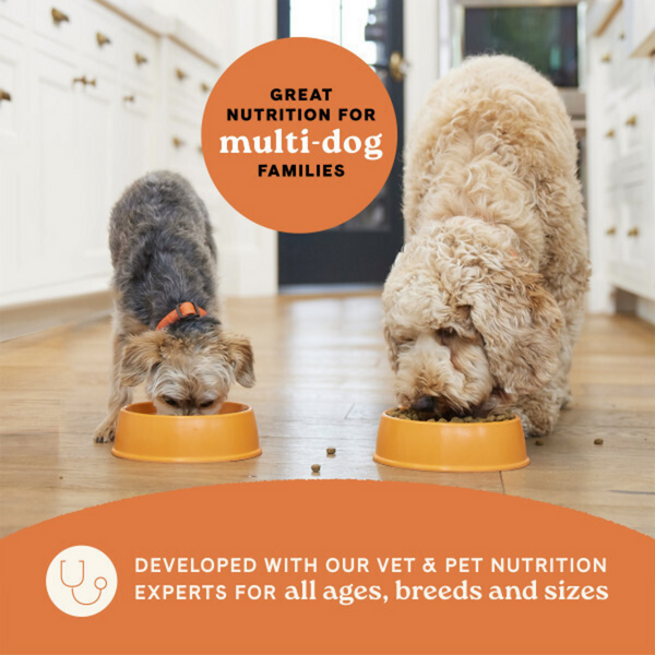 Canidae All Life Stages Dry Dog Food, Real Chicken & Ancient Grains Recipe