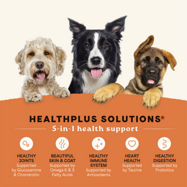 Canidae All Life Stages Dry Dog Food, Real Chicken & Ancient Grains Recipe