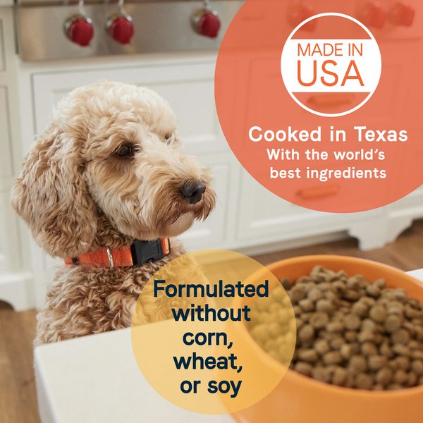 Canidae All Life Stages Dry Dog Food, Real Lamb & Ancient Grains Recipe