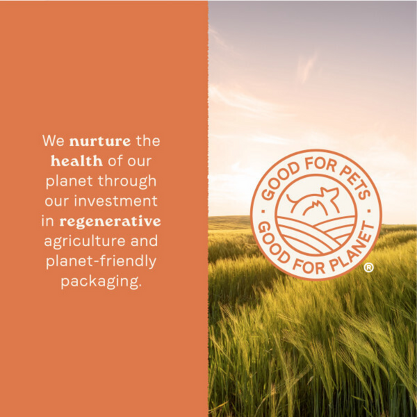 Canidae All Life Stages Chicken and Rice Canned Dog Food