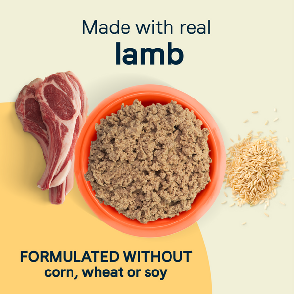 Canidae All Life Stages Wet Dog Food, Lamb & Rice Recipe