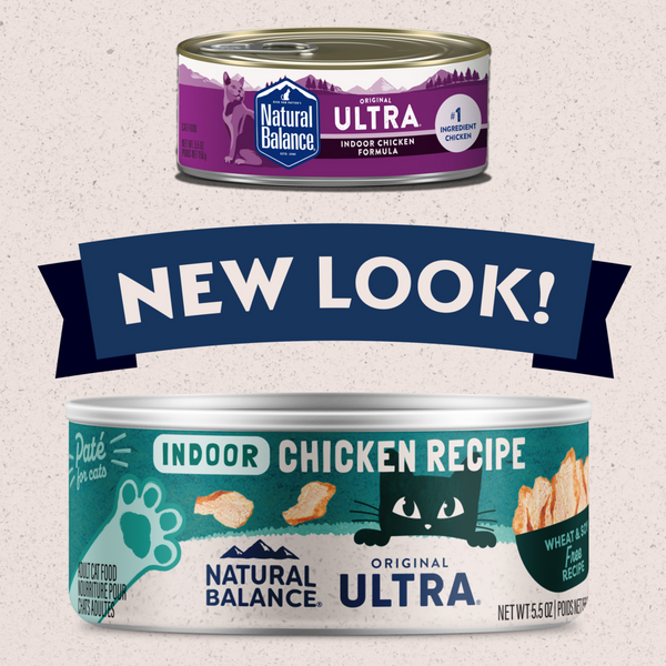 Natural Balance Original Ultra Wet Cat Food, Indoor Recipe with Chicken