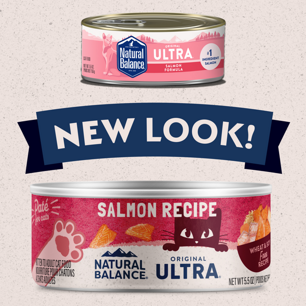 Natural Balance Original Ultra Wet Cat Food, Salmon Recipe