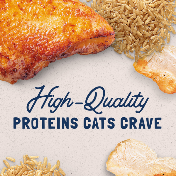 Natural Balance Original Ultra Wet Cat Food, Chicken & Liver Recipe