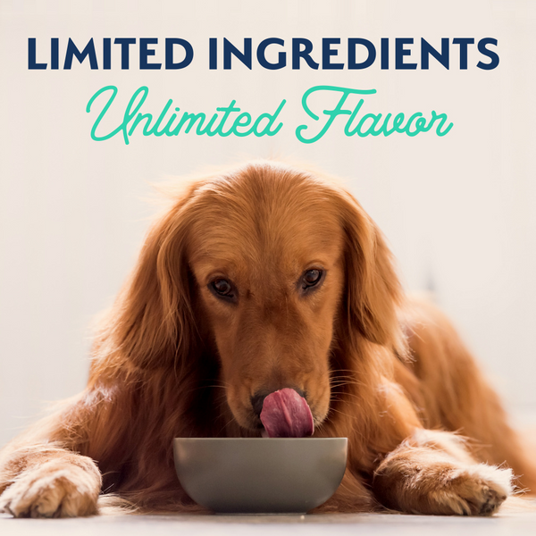 Natural Balance Limited Ingredient Wet Dog Food, Chicken & Sweet Potato Recipe