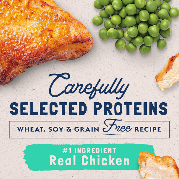 Natural Balance Limited Ingredient Grain Free Dry Cat Food, Chicken & Green Pea Recipe