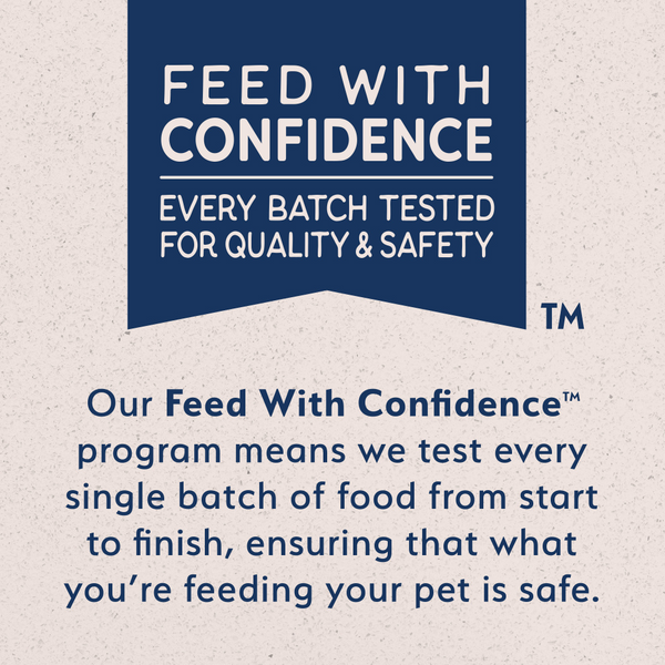 Natural Balance Limited Ingredient Grain Free Dry Cat Food, Salmon & Green Pea Recipe