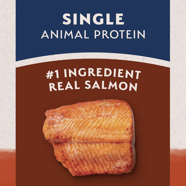 Natural Balance Limited Ingredient Grain Free Dry Dog Food, Salmon & Sweet Potato Recipe
