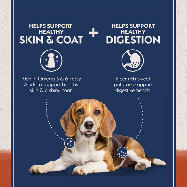 Natural Balance Limited Ingredient Grain Free Dry Dog Food, Salmon & Sweet Potato Recipe