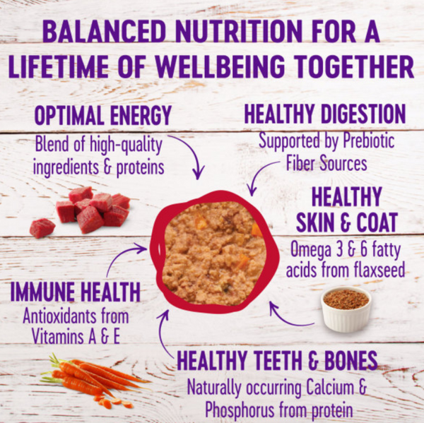 Wellness Complete Health Pate Beef and Chicken Dinner Wet Cat Food