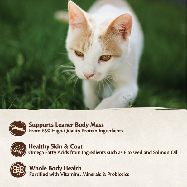 Wellness CORE Natural Grain Free Original Turkey, Chicken, Whitefish & Herring Recipe Dry Cat Food