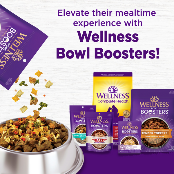 Wellness Complete Health Natural Chicken Recipe Dry Dog Food