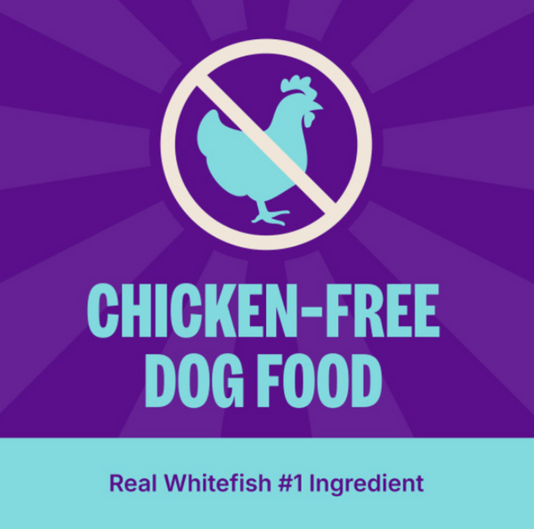 Wellness Complete Health Natural Adult Whitefish and Sweet Potato Recipe Dry Dog Food