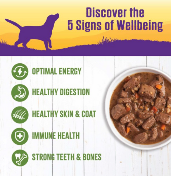 Wellness Natural Lamb and Beef Stew with Brown Rice and Apples Wet Canned Dog Food