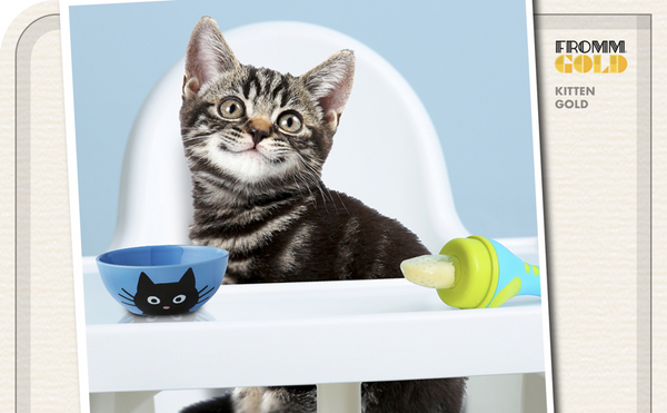 Fromm Kitten Gold Dry Cat Food
