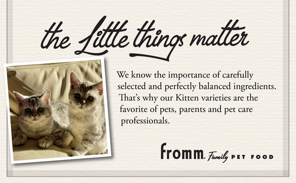 Fromm Kitten Gold Dry Cat Food