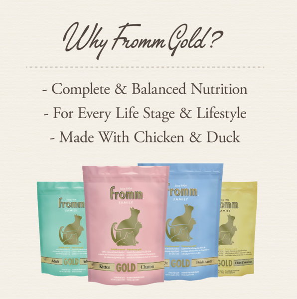 Fromm Kitten Gold Dry Cat Food