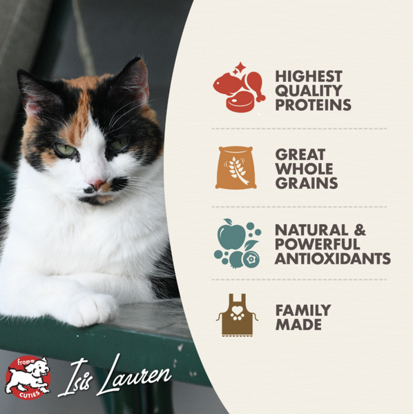 Fromm Adult Gold Dry Cat Food