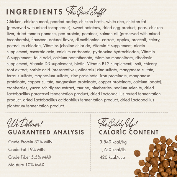 Fromm Four Star Chicken A La Veg Recipe Dry Cat Food