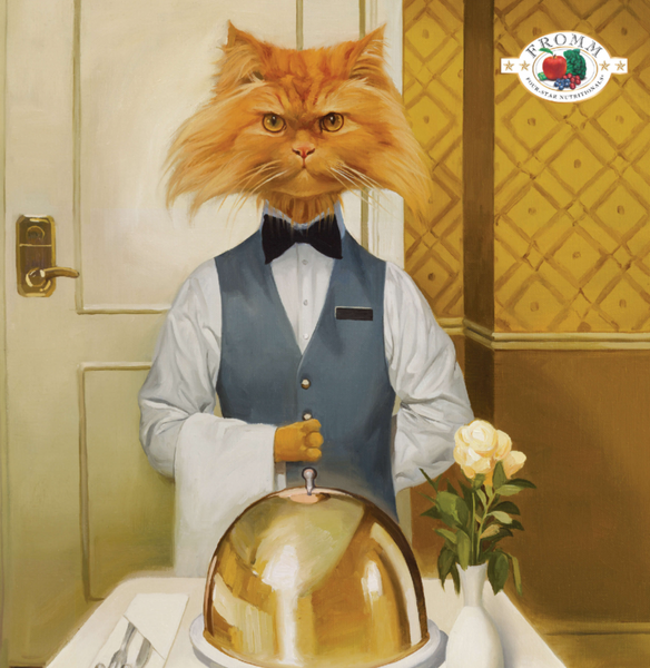Fromm Four Star Chicken A La Veg Recipe Dry Cat Food